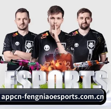 我们在做什么（Fengniao Esports）